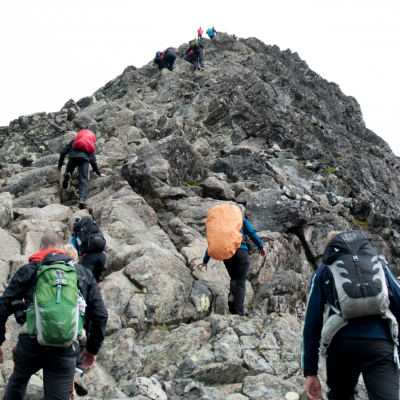 Positive Resilient Leadership: Mehr Engagement, Resilienz und Leistung in paradoxen Zeiten